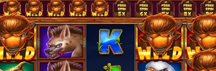 win login