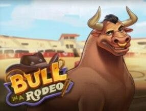 556bet.com